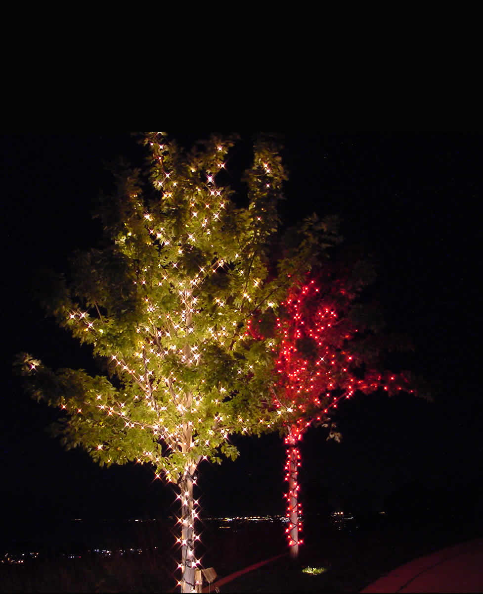 Commercial Lights